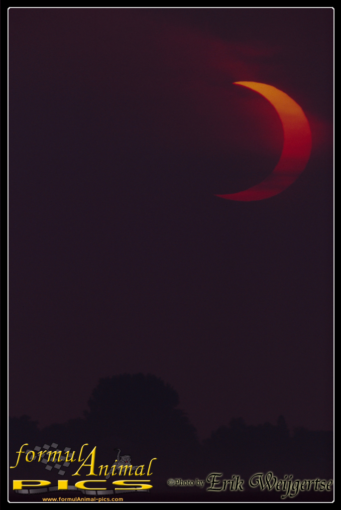 663x1001 pixels (370K)