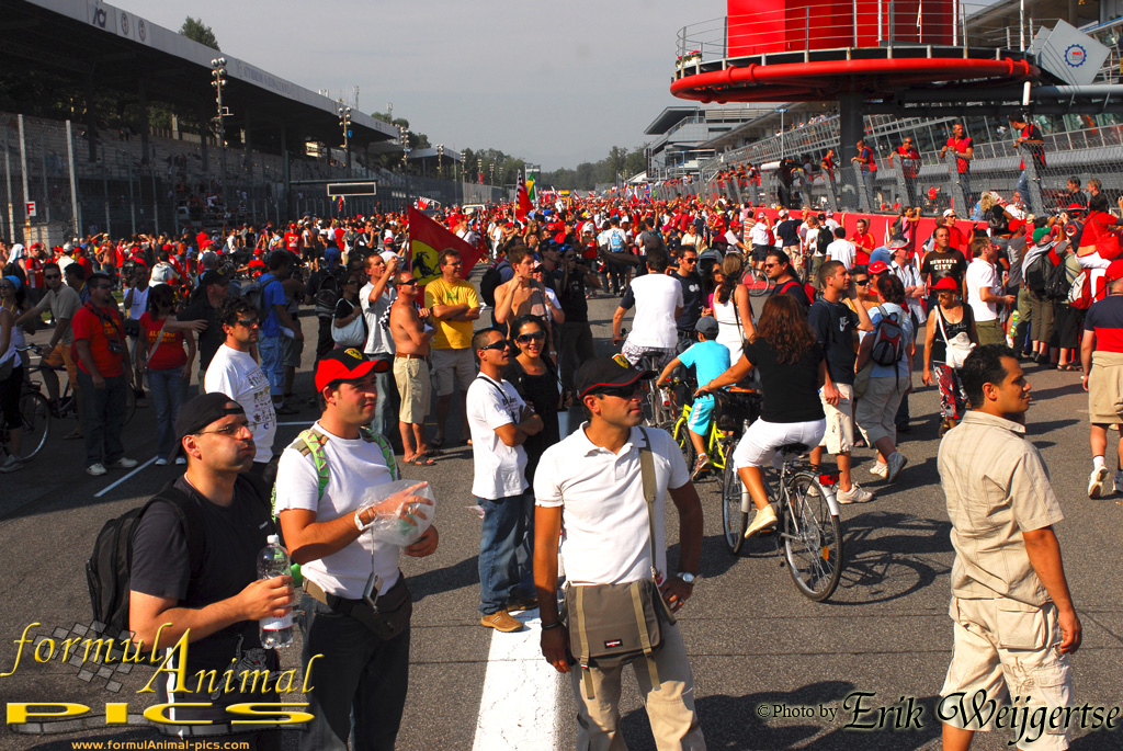 1002x662 pixels (465K)