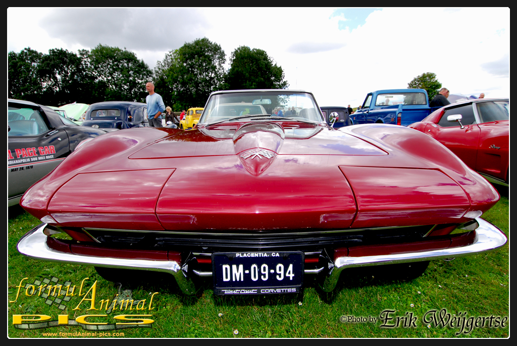 1002x662 pixels (716K)