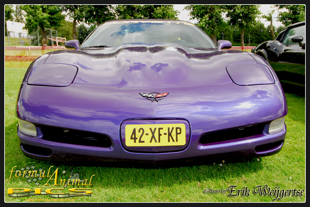 1002x662 pixels (773K)