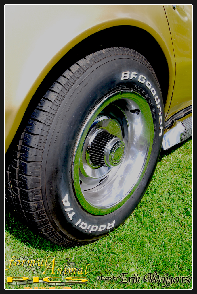 663x1001 pixels (778K)