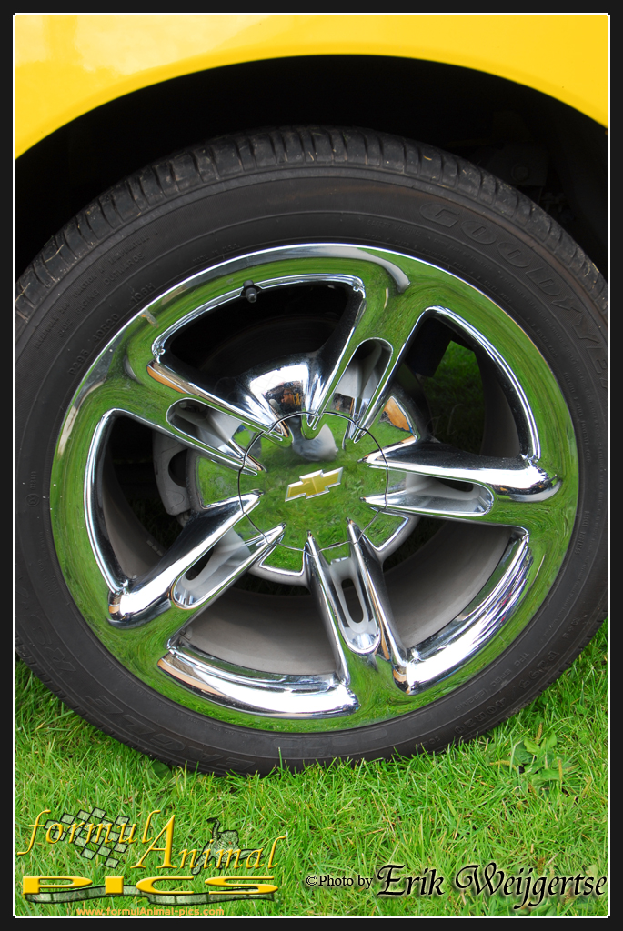 663x1001 pixels (687K)