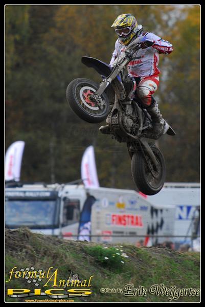 379x577 pixels (50K)